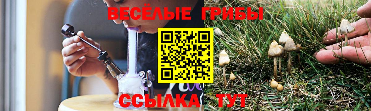 Галлюциногенные грибы Cubensis Кинель