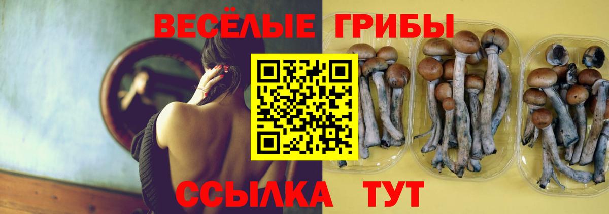 Галлюциногенные грибы мухоморы  Псилоцибиновые грибы Magic Shrooms  Вход с VPN  Кинель 